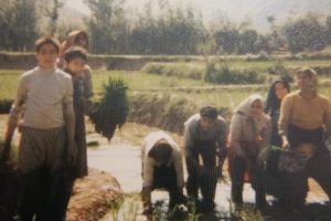 Mr Sadeghi Iveli, far left, spent his childhood working on the family farm in Ivel with his family.(Supplied: Arsalan Sadeghi Iveli)