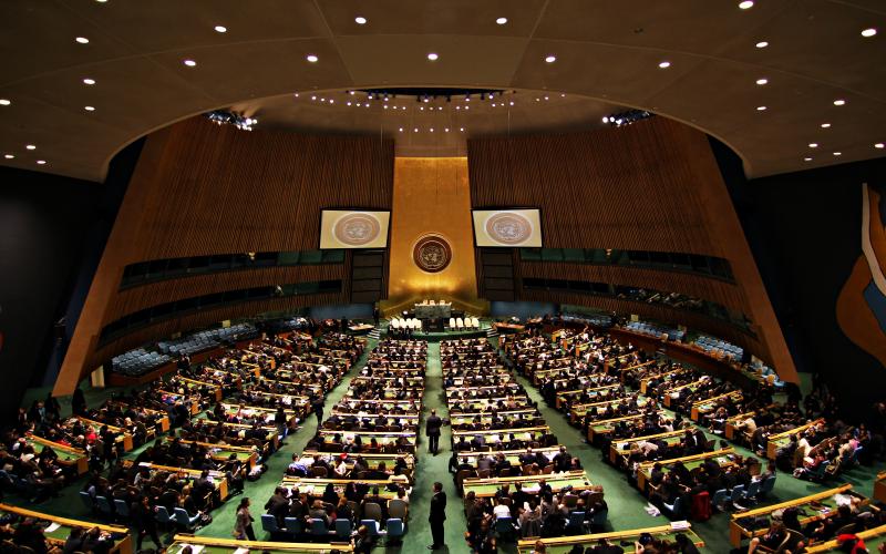 UN General Assembly